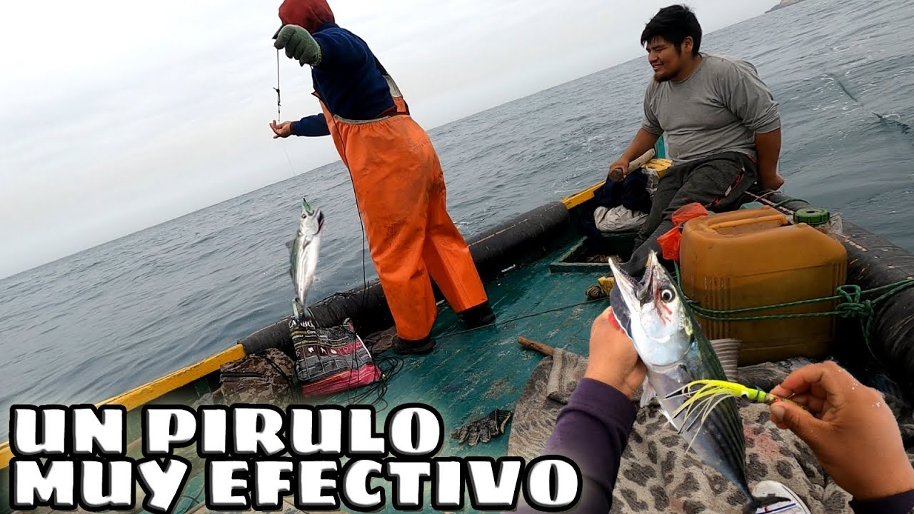 Aumentar afijo Árbol de tochi APRENDE ESTA PESCA DE BONITO | CON CARNADA ARTIFICIAL | Tablita Fishing -  YouTube