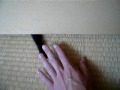 まえあしだけ
