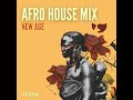 Afro House Mix 2021 - New Age ft. Black Coffee | Toshi | Karyendasoul | Coco | Idd Aziz