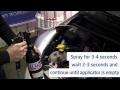 DPF (Diesel Particulate Filter) Cleaner & Rinse