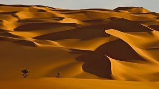 Ancient Arabian Arabian | The Great Desert