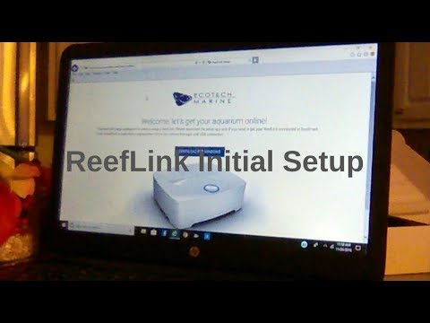 Reef Link Initial Setup - Explained