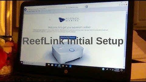 Reef Link Initial Setup - Explained