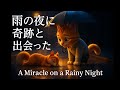 ☔雨の夜に出会った奇跡“A Miracle on a Rainy Night”～　#感動ストーリー #猫とリス #ピクサー風 #心温まる話 #AIアニメ #Nyanta #RainyNight