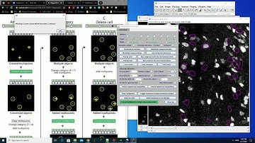 ImageJ plugin: Semi-automatic cell counting (with colocalization / categorization). Object based.
