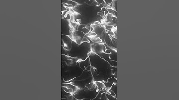 synaptic textures_two #touchdesigner #immersivevisuals #videoart #visuals