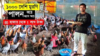 1000 দেশি মুরগি পালন (আয় 65 হাজার থেকে 1 লাখ টাকা) | Chicken Egg Farming | local murgi farm