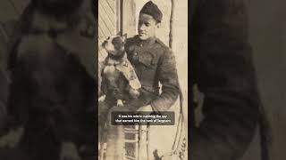 A True War Hero Dog  Sergeant Stubby