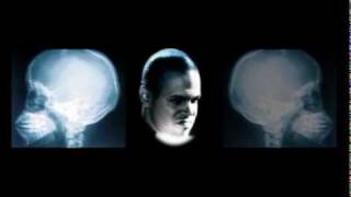 Visual Gordita ft. Calle13 (http://www.facebook.com/pages/Shakira-Obsession/198245440210131)