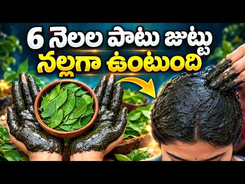 తెల్ల జుట్టు కంట్రోల్‌కు ఇంటి చిట్కా | మెంతిపొడి + ఉసిరిపొడి హెయిర్ ప్యాక్ | Shobha Rani