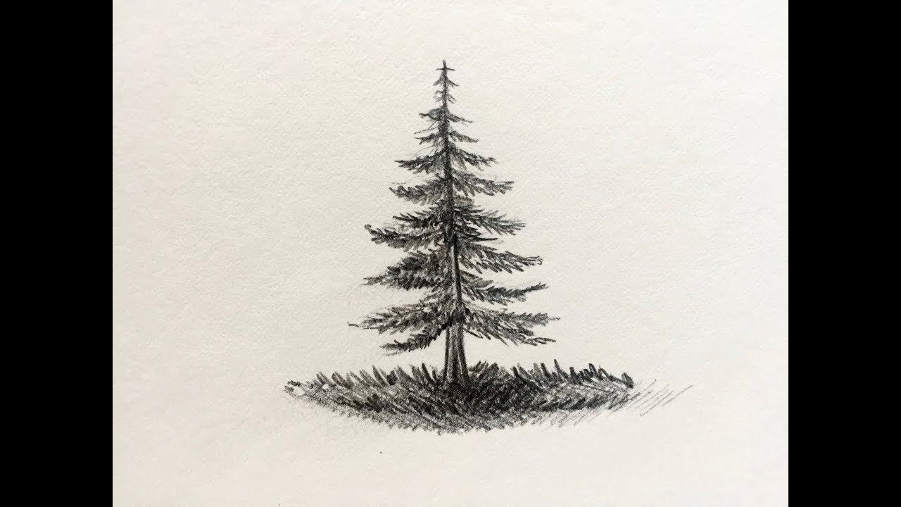 Update 191+ pine tree drawing