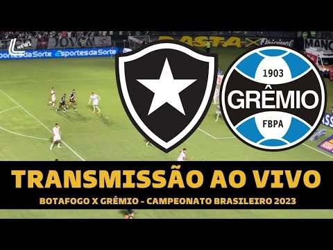 Onde vai passar o jogo do BOTAFOGO X GRÊMIO (09/11)? Passa na GLOBO ou  SPORTV? Veja onde assistir BOTAFOGO X GRÊMIO ao vivo com imagens - Portal  da Torcida