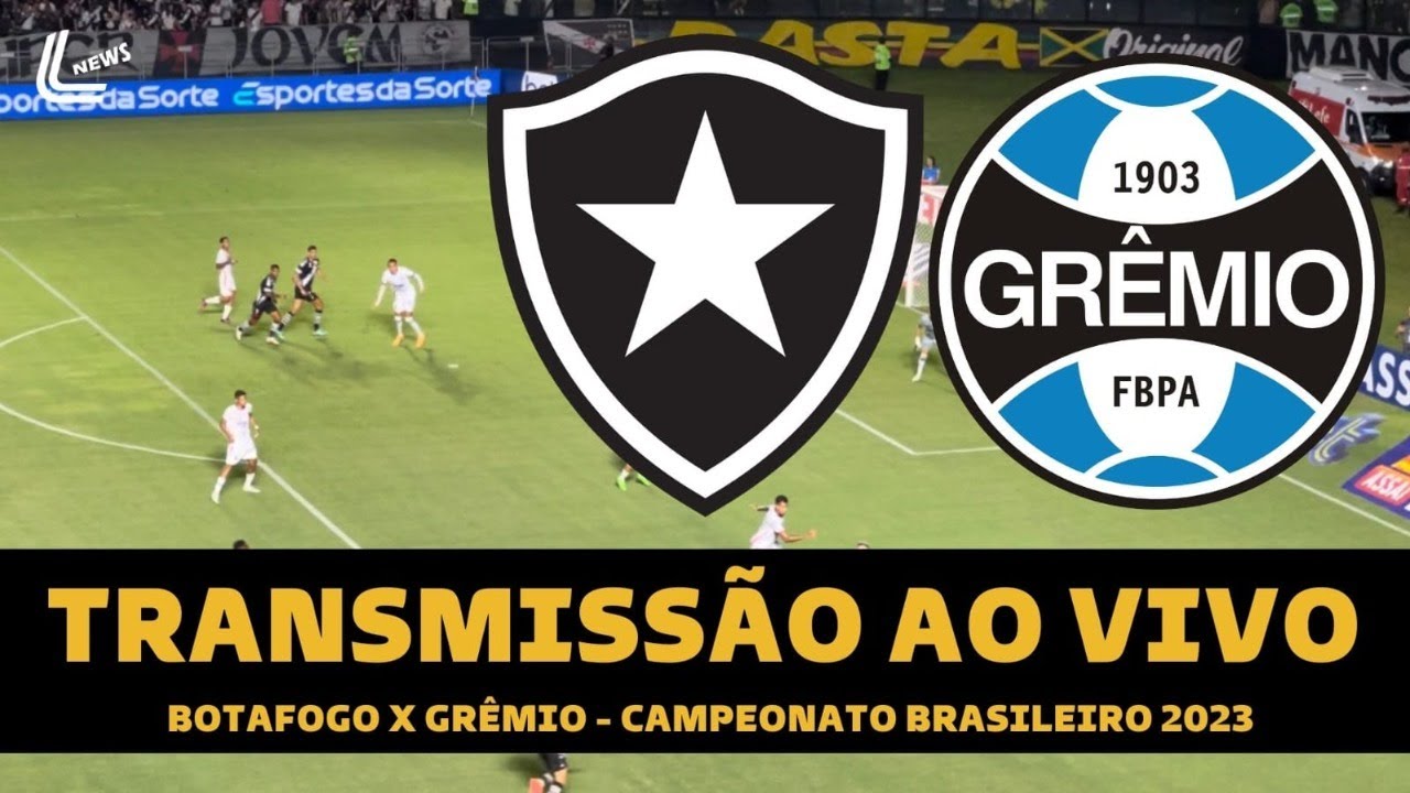 Botafogo x Grêmio: Confira onde assistir jogo do Botafogo e Grêmio ao vivo  hoje (09); veja horário e escalação