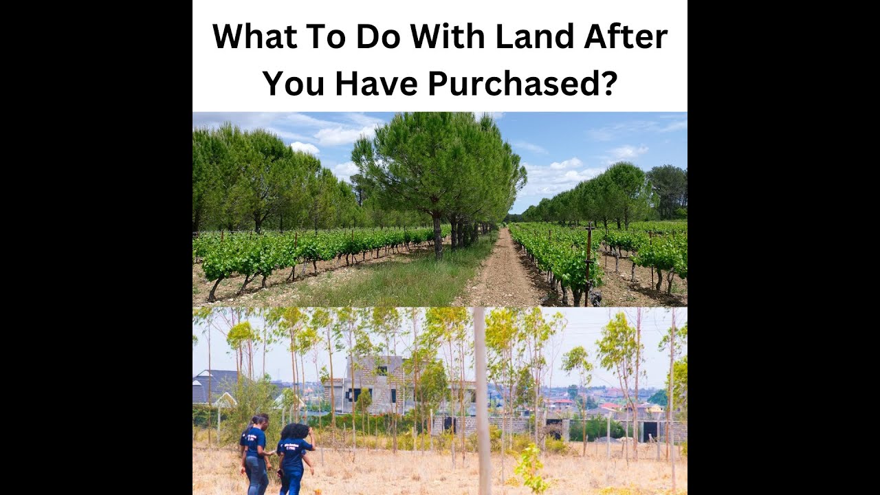 So you've purchased your land, what's next? Own Land In Kenya Julia