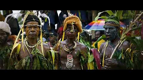 Into the Jungle - Feature Documentary TRAILER