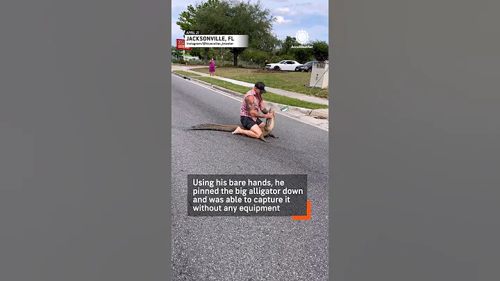 Florida Man Wrestles Alligator As Police Watch