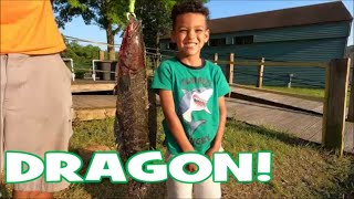 (documentary style) We stole a tournament winning SNAKEHEAD! (10 Pound DRAGON!)