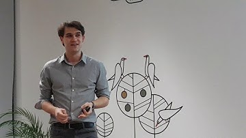 Alex Bordei - WP REST API - An amazing out-of-the-box feature - part1