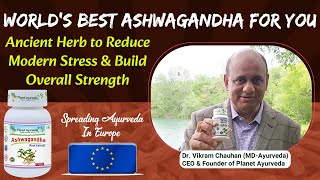 World's Best Ashwagandha For You: Ancient Herb to Reduce Modern Stress & Build Overall Strength