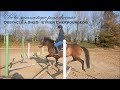 De la gym pour chevaux  obstacle  9h25  etrier cherbourgeois