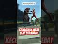 Kepulan Asap Hitam, Mobil Ini Berhasil Selamat dari Lokasi Kecelakaan Dahsyat!