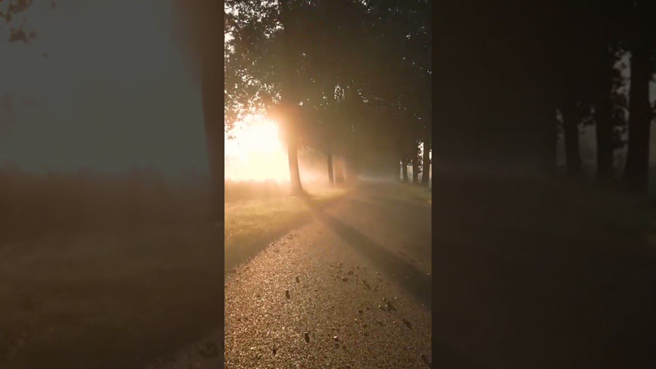 Znikasz #nowośćmuzyczna #polskamuzyka