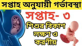 গর্ভাবস্থার ৩য় সপ্তাহ|| সপ্তাহ অনুযায়ী গর্ভাবস্থা- ৩|| গর্ভাবস্থার তৃতীয় সপ্তাহের লক্ষণ ও করণীয়