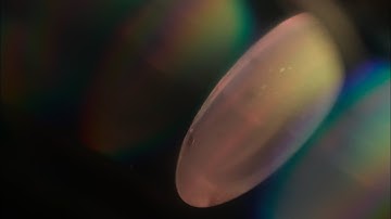 Keystep Pro + Korg ms20 mini 🎛🎼🎶