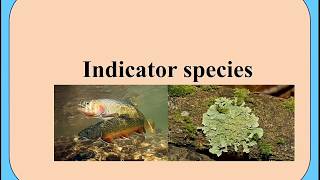Indicator species