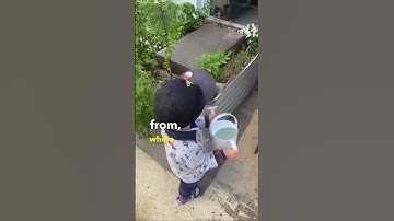 Say goodbye to stinky compost bins and hello to a fresh and fun way to turn your food waste into gre