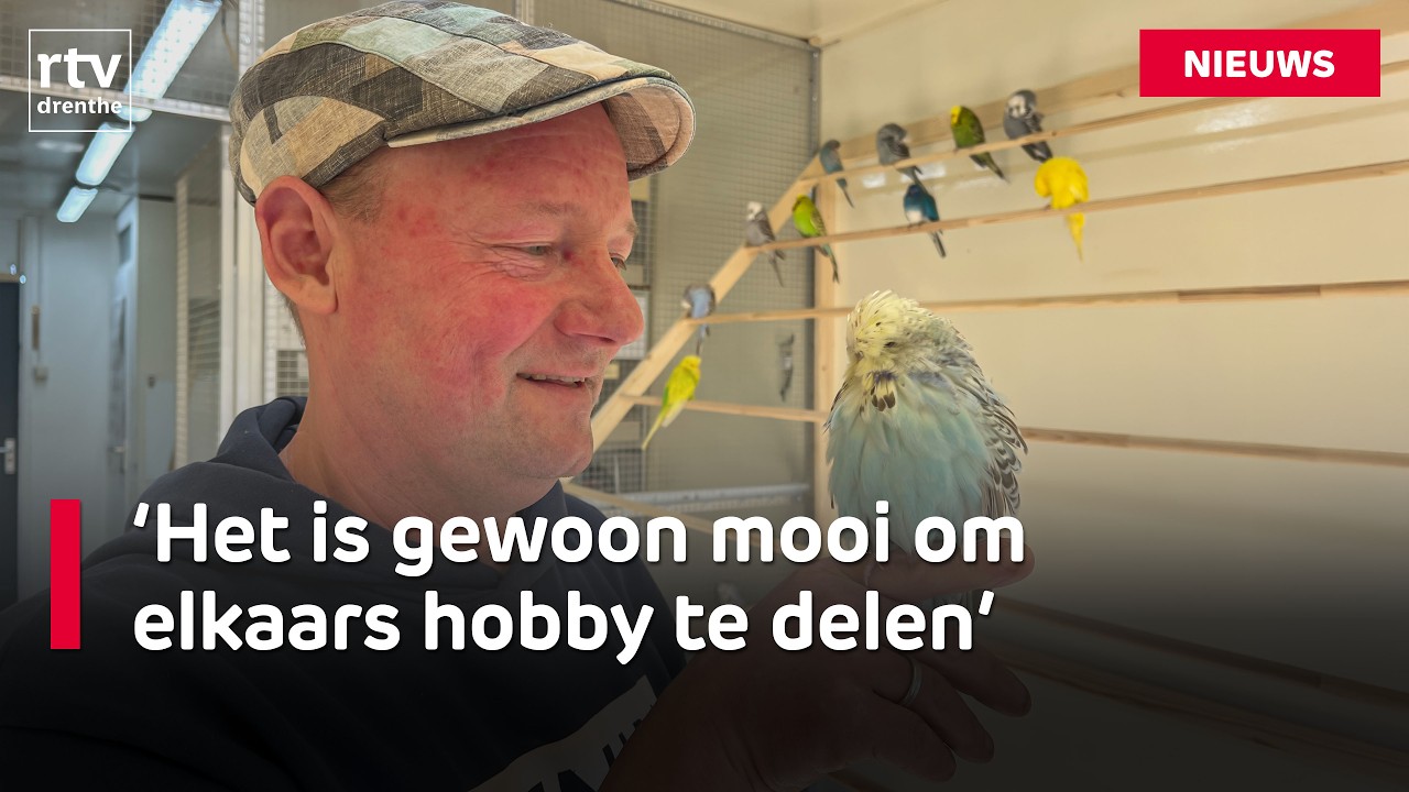 Gert is dol op zijn parkieten en is op zoek naar andere liefhebbers | RTV Drenthe