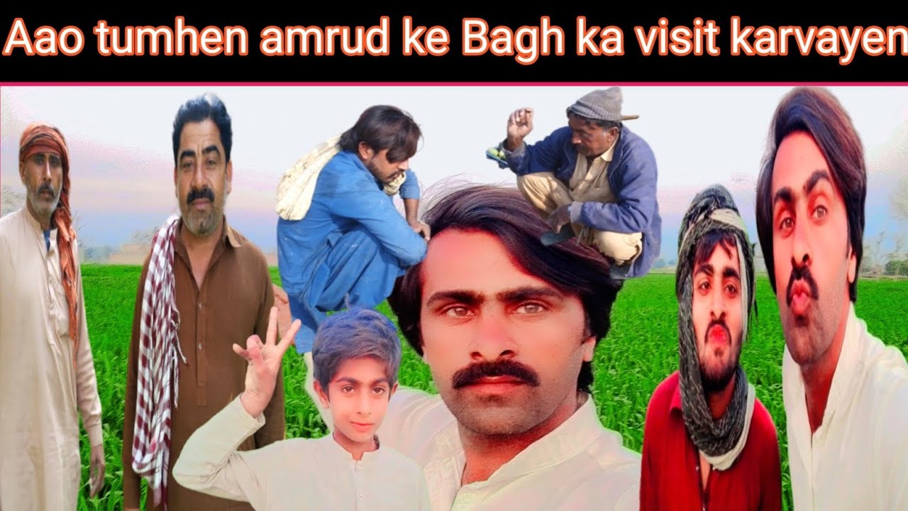 Aao tumhen amrud ke Bagh ka visit karvayen