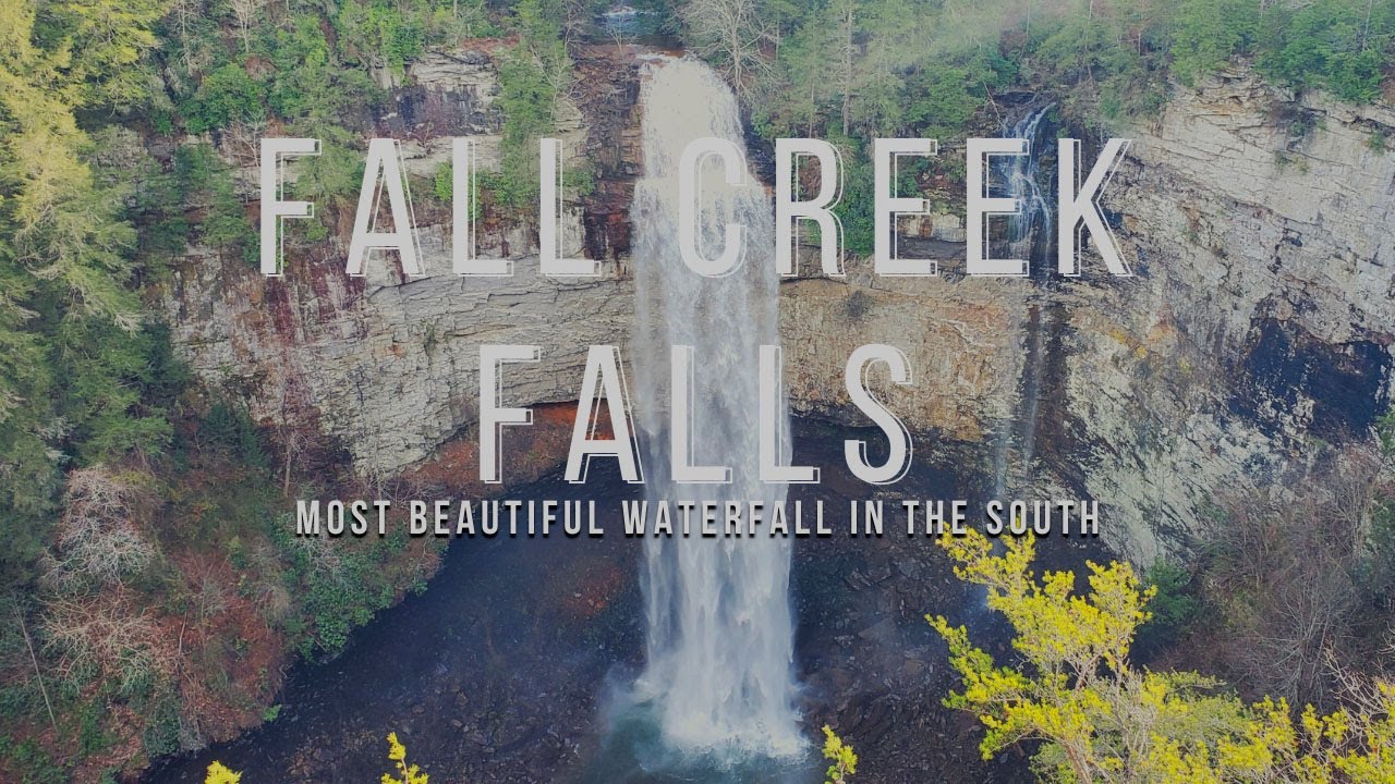 Are Dogs Allowed At Fall Creek Falls?