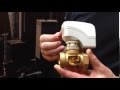 Video Image