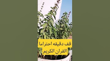 ساهم في نشر القران الكريم انها راحه نفسيه 🕋📿