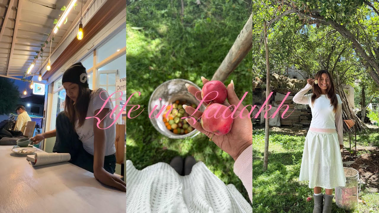 Vlog | life update, hunting cafés & farm vlog 