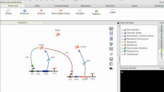 Building the ComS/ComK bistable system