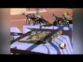 Algeria 37 Foreigner Hostages Killed In Attack 