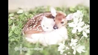 Leaving for now - theohaber 00:50 seconds