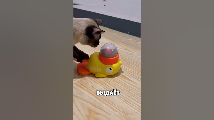 Кошка Сломала Умную Игрушку! 🐱🤯 Что Она Натворила?🐈😱 #животные