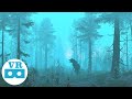 VR 360° Encounter various animals in the snowy forest | Unity