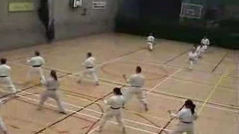 UCD Karate Club 30th Anniversary Class - Part 1