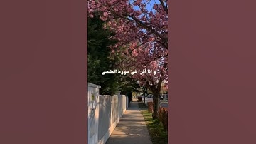 #سورة  الضحي هي#مفتاح #العطاء 🤍🕊️