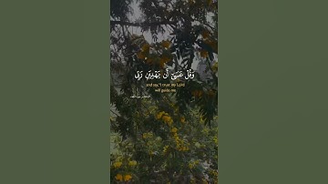 #قران_كريم #تلاوة_خاشعة #تصويري #اللهم_صل_وسلم_على_نبينا_محمدﷺ