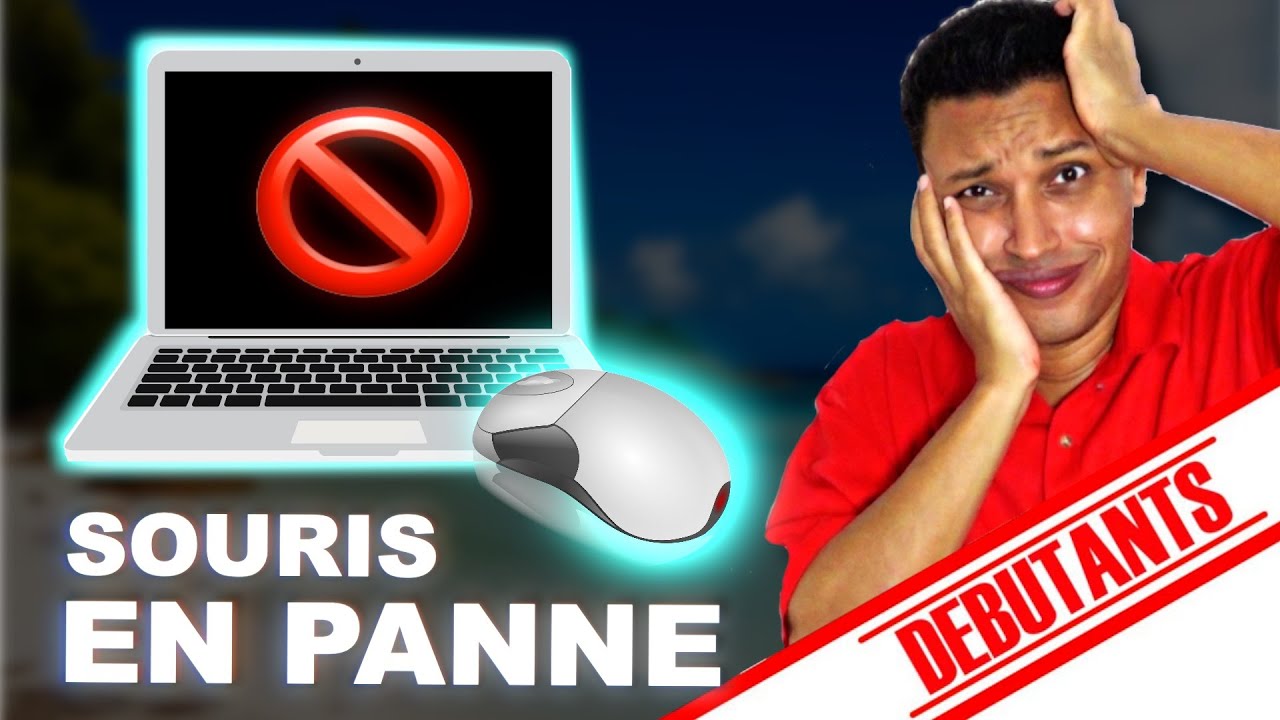 AU SECOURS MA SOURIS NE FONCTIONNE PLUS (COURS INFORMATIQUE DÉBUTANT