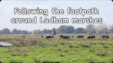 Volg het wandelpad rond de moerassen van Ludham