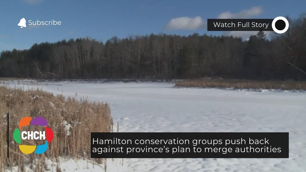 Экологические организации Гамильтона выступают против плана провинции по объединению органов власти.