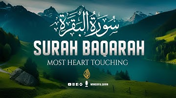 Surah Baqarah Full سورة البقره | Ultimate Relaxing Most Beautiful Heart Calming Quran | WQ