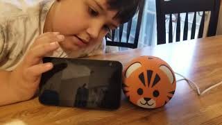 Review of the New Echo Dot kids edition. With free year of kids freetime unlimited.@LuckyandDog