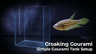 Aquascape Tutorial: Simple Croaking Gourami Tank Setup. (Step By Step Build.) | Still Waters